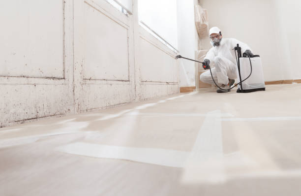 24/7 Emergency Attic Mold Remediation experts in Hyde Park, PA