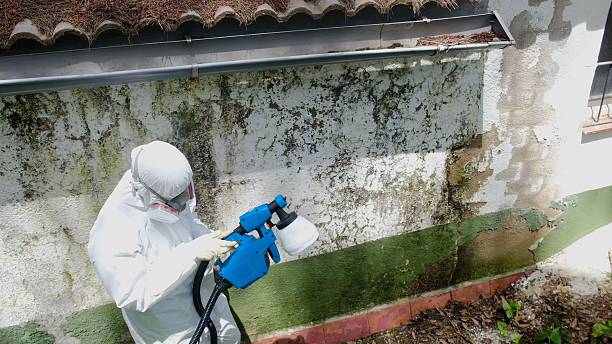 Top rated local Attic Mold Remediation specialists in Hyde Park, PA